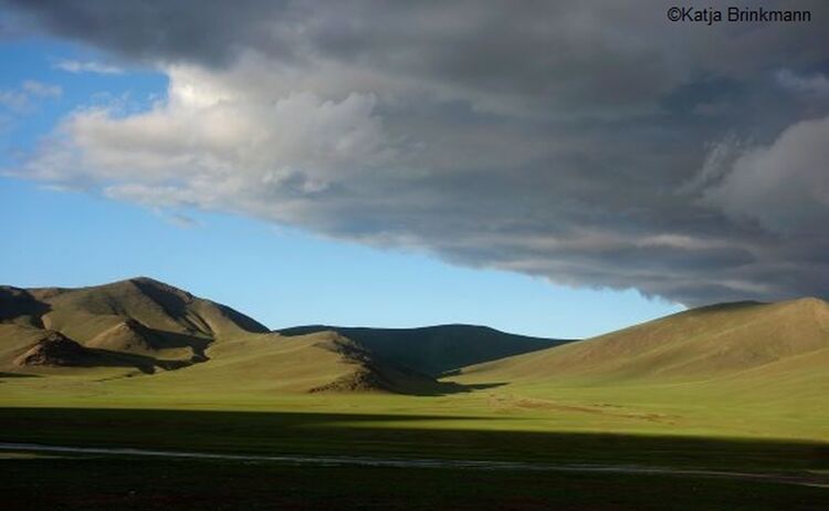 Foto Mongolische Steppe von Katja Brinkmann: Zum Vergrößern auf Bild klicken