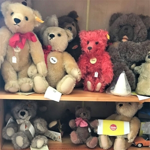 verschiedene Teddybären von Steiff aus der Sammlung Eva Köhr